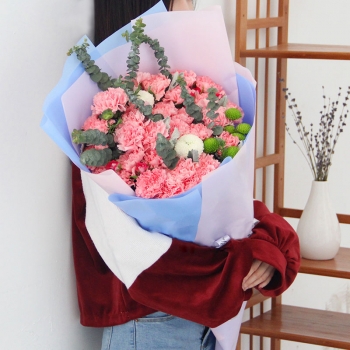 温情祝福-33朵粉色康乃馨混搭花束