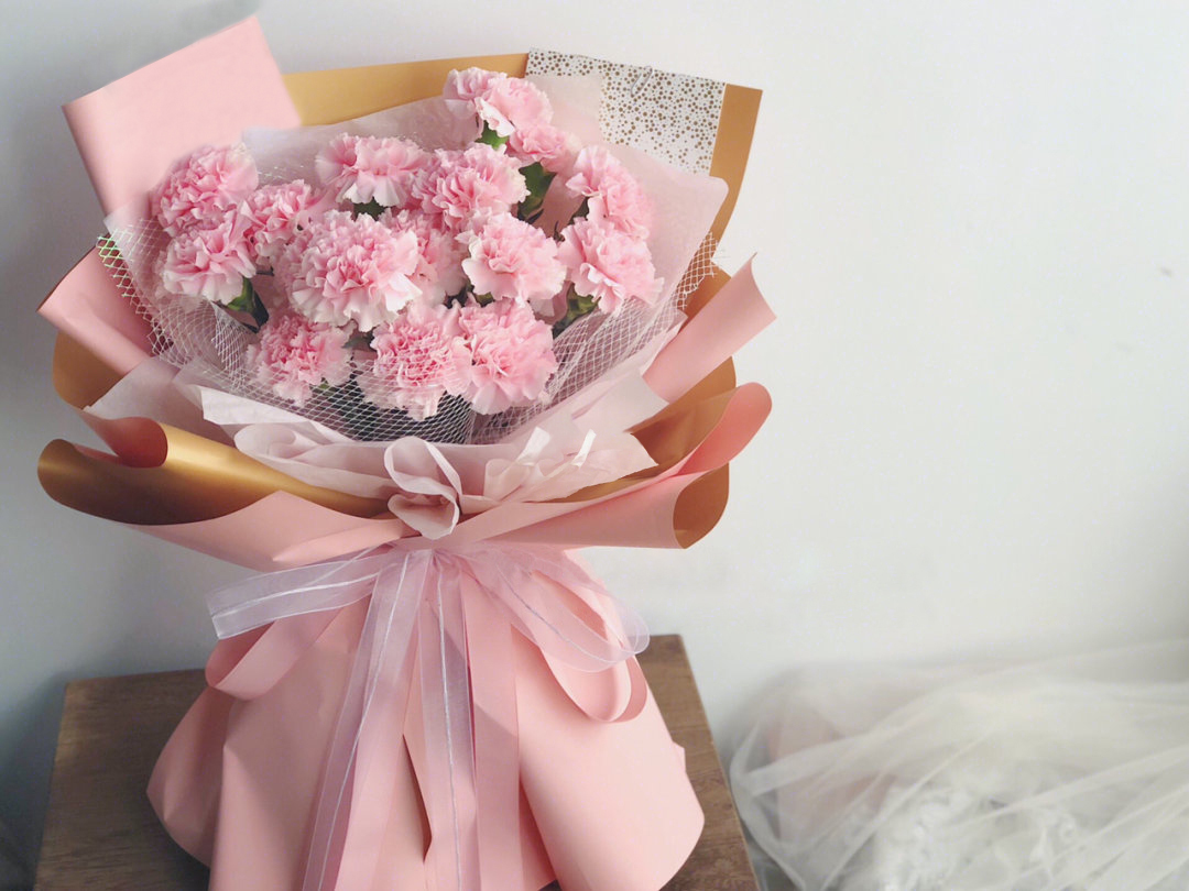 恩重如山 -19朵粉色康乃馨鲜花花束