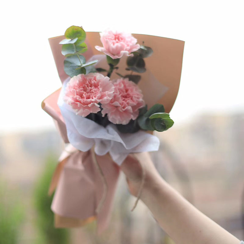 小花束 3朵粉康乃馨花束 束起送 维纳斯鲜花礼品网