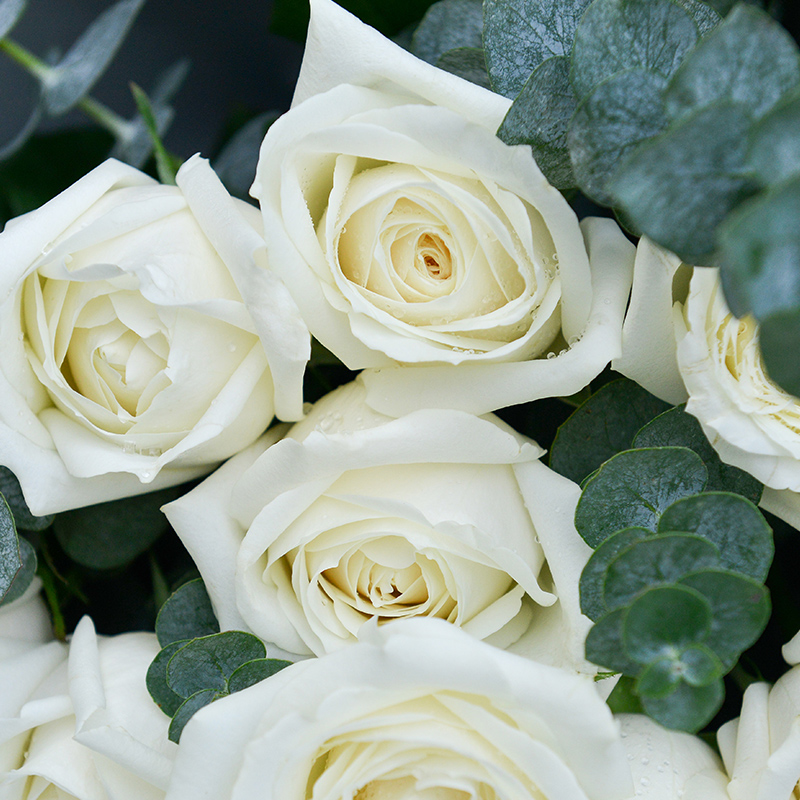 水晶之恋-11朵白玫瑰韩式花束