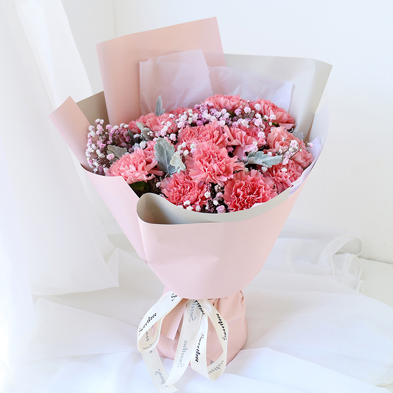 健康长久-19朵粉康乃馨花束