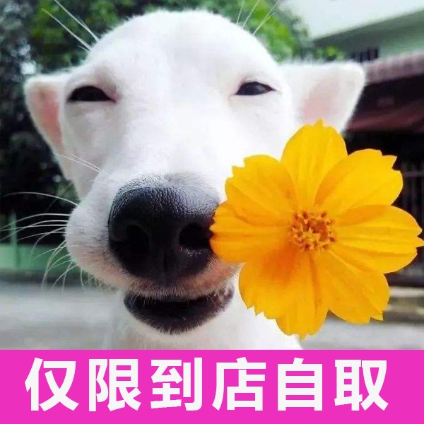 到店自取